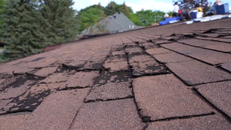 Best Roof Insulation Installation  in Mission Hills, KS